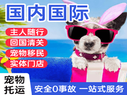 株洲芦淞机场快运国际宠物托运 【国